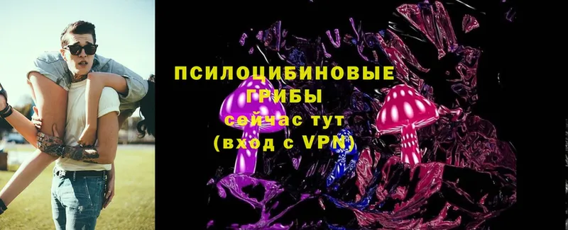 Галлюциногенные грибы Magic Shrooms  закладки  Гудермес 